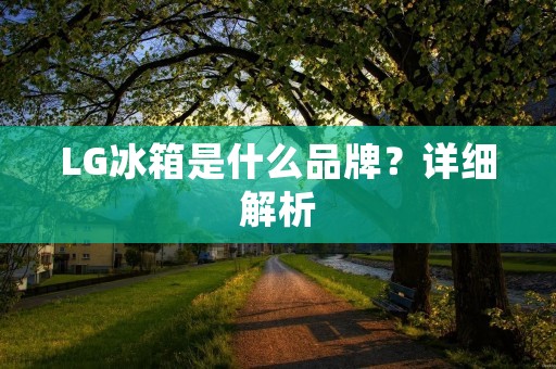 LG冰箱是什么品牌？详细解析
