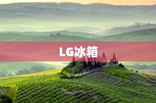 LG冰箱：一款高品质的家电品牌