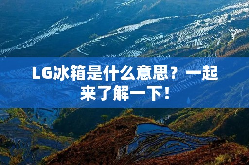 LG冰箱是什么意思？一起来了解一下！