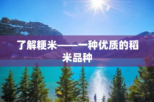 了解粳米——一种优质的稻米品种