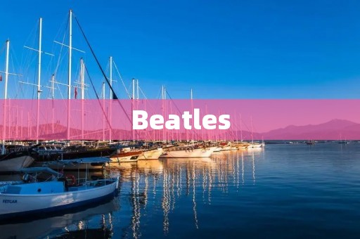 Beatles:音乐传奇的缔造者 Beatles:音乐传奇的缔造者