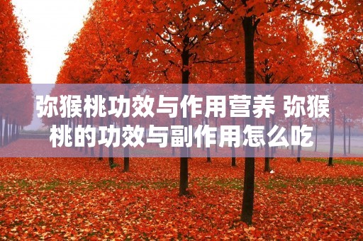 弥猴桃功效与作用营养 弥猴桃的功效与副作用怎么吃