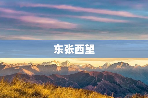 东张西望：探寻城市的独特魅力