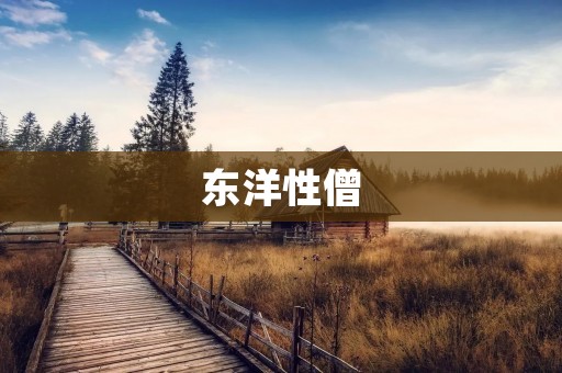 东洋性僧：探寻禅宗文化中的智慧