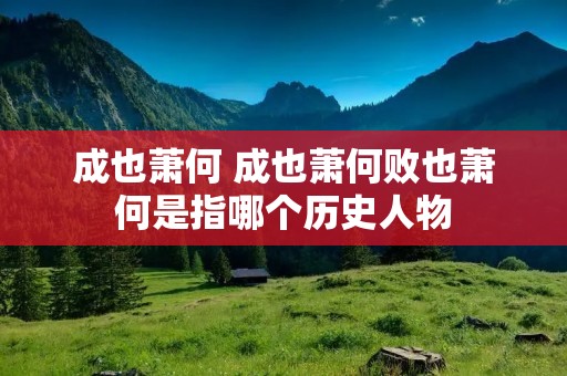 成也萧何 成也萧何败也萧何是指哪个历史人物