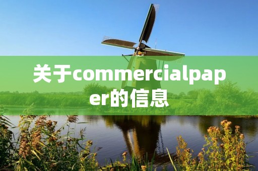 关于commercialpaper的信息 关于commercialpaper的信息