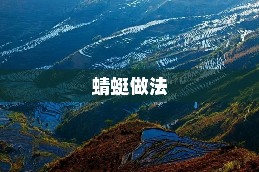 蜻蜓做法：一道美味又营养的传统食品