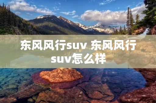 东风风行suv 东风风行suv怎么样