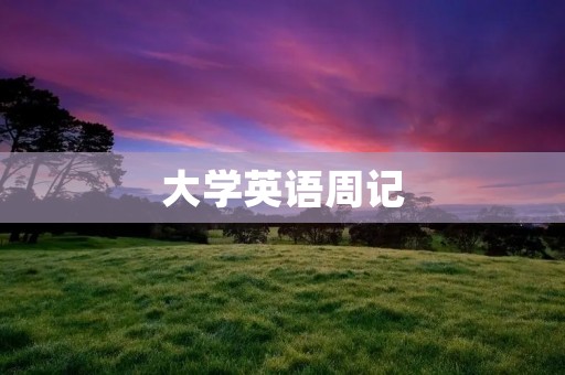 大学英语周记：如何提高英语口语能力