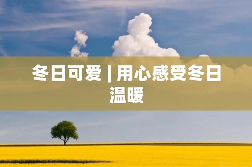 冬日可爱 | 用心感受冬日温暖 冬日可爱 | 用心感受冬日温暖