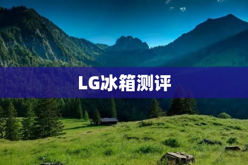 LG冰箱测评：性价比高的优质家电