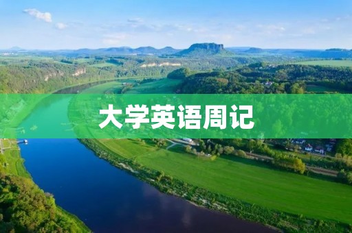 大学英语周记：成长中的挑战