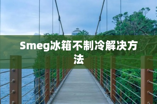 Smeg冰箱不制冷解决方法