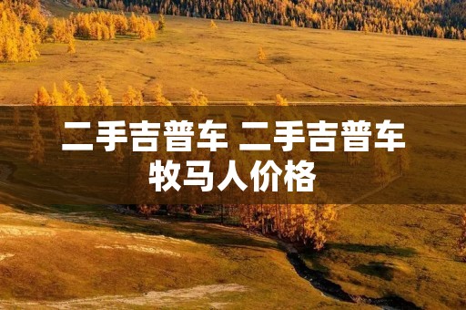 二手吉普车 二手吉普车牧马人价格