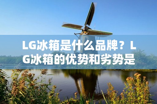 LG冰箱是什么品牌？LG冰箱的优势和劣势是什么？