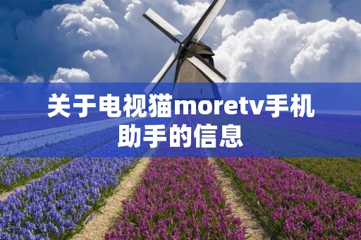 关于电视猫moretv手机助手的信息