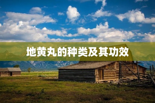 地黄丸的种类及其功效