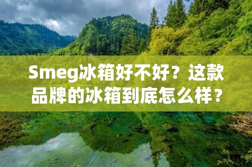 Smeg冰箱好不好？这款品牌的冰箱到底怎么样？