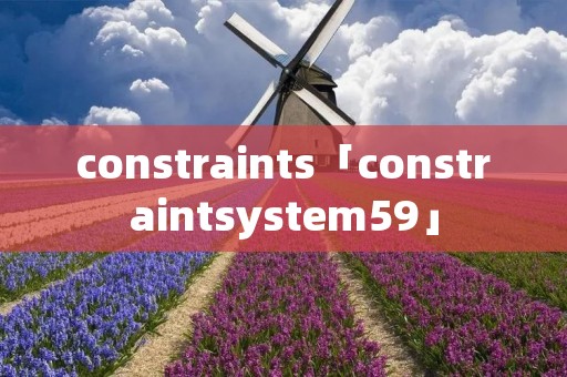 constraints「constraintsystem59」