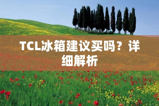 TCL冰箱建议买吗？详细解析