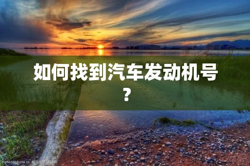 如何找到汽车发动机号? 如何找到汽车发动机号?