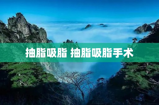 抽脂吸脂 抽脂吸脂手术