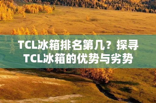 TCL冰箱排名第几?探寻TCL冰箱的优势与劣势 TCL冰箱排名第几?探寻TCL冰箱的优势与劣势
