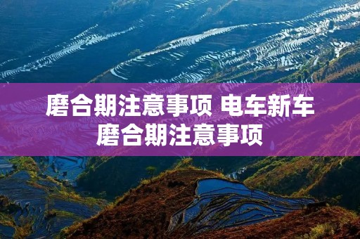 磨合期注意事项 电车新车磨合期注意事项
