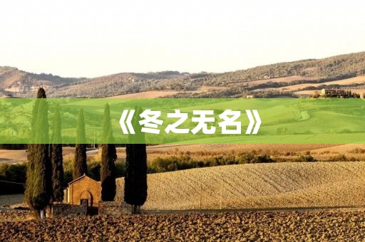 《冬之无名》:一段寂静的冬日故事 《冬之无名》:一段寂静的冬日故事