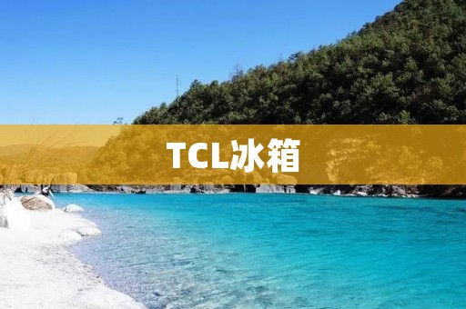 TCL冰箱:名牌中的佼佼者? TCL冰箱:名牌中的佼佼者?