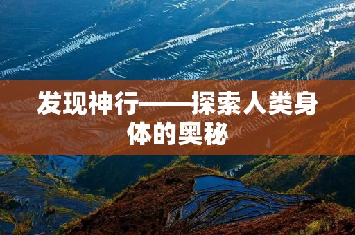 发现神行——探索人类身体的奥秘