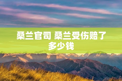桑兰官司 桑兰受伤赔了多少钱