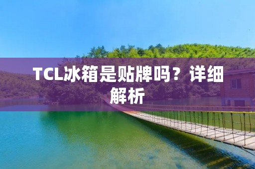 TCL冰箱是贴牌吗?详细解析 TCL冰箱是贴牌吗?详细解析