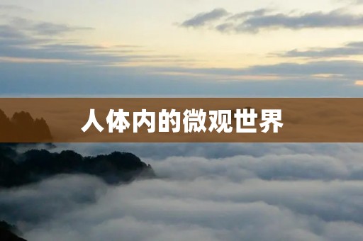 人体内的微观世界:探究细胞与器官 人体内的微观世界:探究细胞与器官