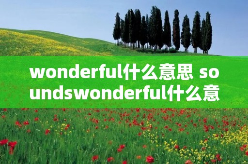 wonderful什么意思 soundswonderful什么意思