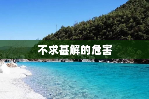 不求甚解的危害