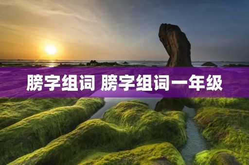 膀字组词 膀字组词一年级