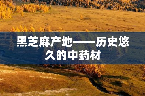 黑芝麻产地——历史悠久的中药材