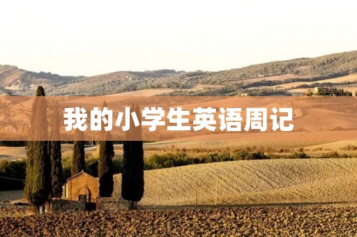 我的小学生英语周记