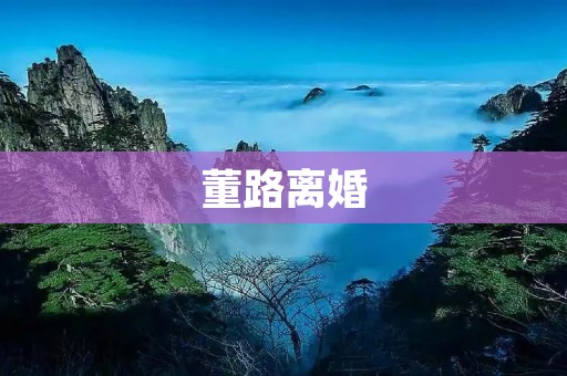 董路离婚:婚姻背后的现实与情感 董路离婚:婚姻背后的现实与情感