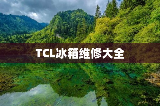 TCL冰箱维修大全:故障排除、维护保养、常见问题解决 TCL冰箱维修大全:故障排除、维护保养、常见问题解决