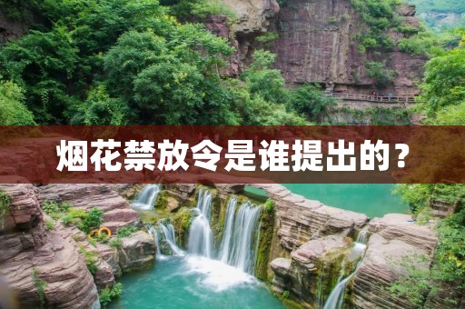 烟花禁放令是谁提出的?