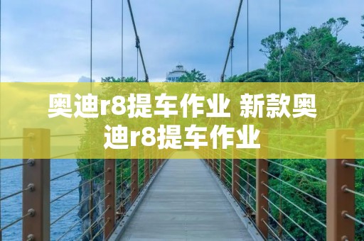 奥迪r8提车作业 新款奥迪r8提车作业