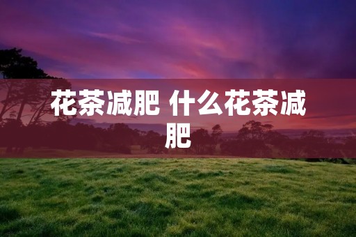 花茶减肥 什么花茶减肥