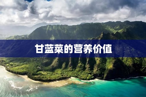 甘蓝菜的营养价值:探究这种绿色蔬菜的健康功效