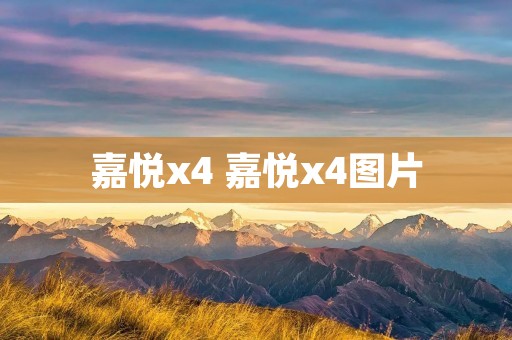 嘉悦x4 嘉悦x4图片 嘉悦x4 嘉悦x4图片