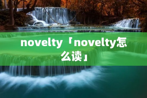 novelty「novelty怎么读」
