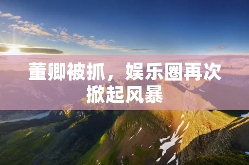 董卿被抓,娱乐圈再次掀起风暴 董卿被抓,娱乐圈再次掀起风暴