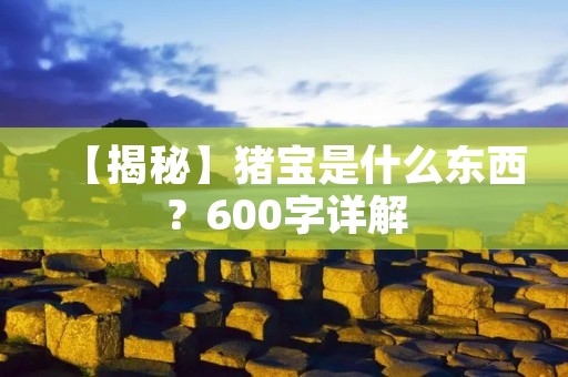 【揭秘】猪宝是什么东西?600字详解