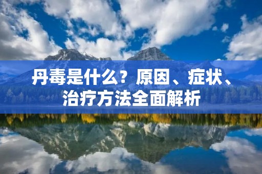 丹毒是什么?原因、症状、治疗方法全面解析 丹毒是什么?原因、症状、治疗方法全面解析